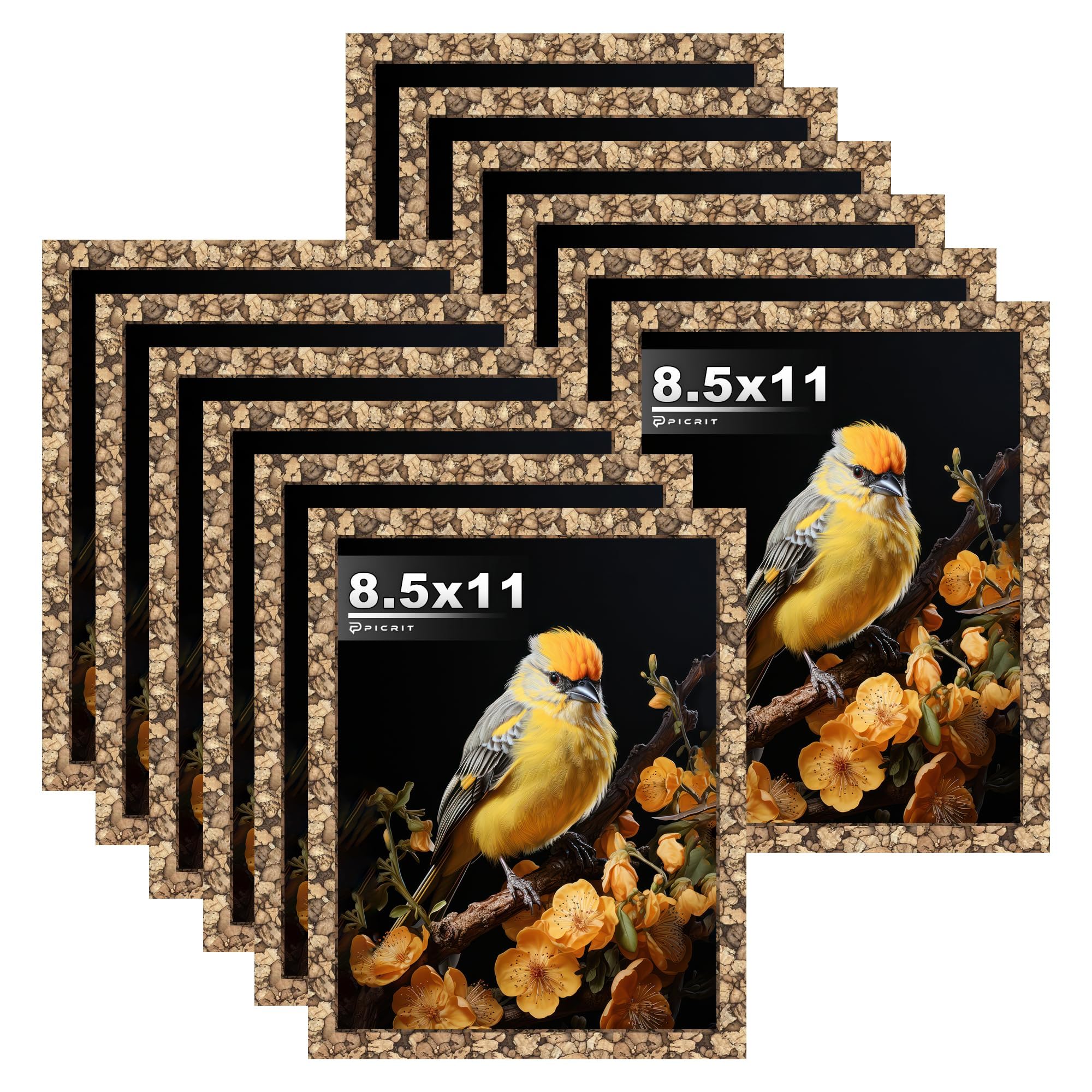 Picrit 8x10 Picture Frame Set of 12, Display 5x7 with Mat or 8x10 without Mat, Photo Frames for Wall Mounting or Table Top Display, Black